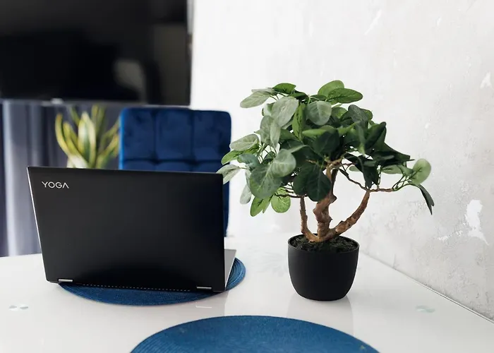 Silver 4 * シュチェチン